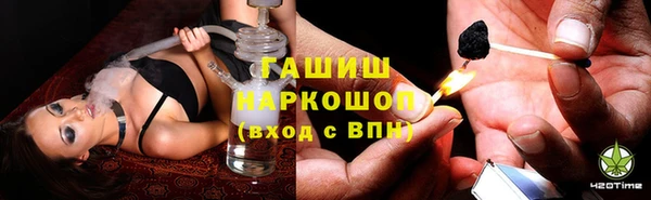 прущие грибы Белоозёрский