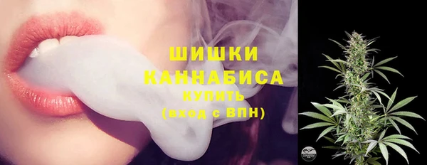 прущие грибы Белоозёрский