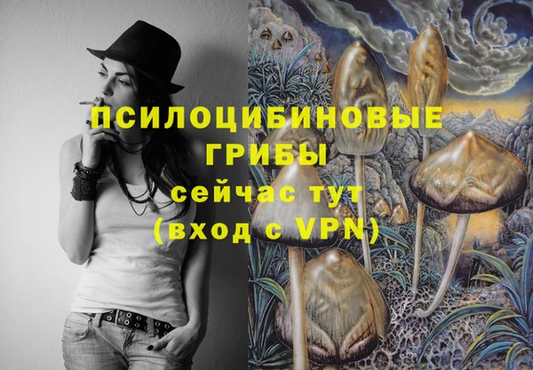 прущие грибы Белоозёрский